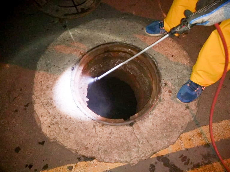 DEDETIZAÇÃO ANA LUIZA (2).jpg